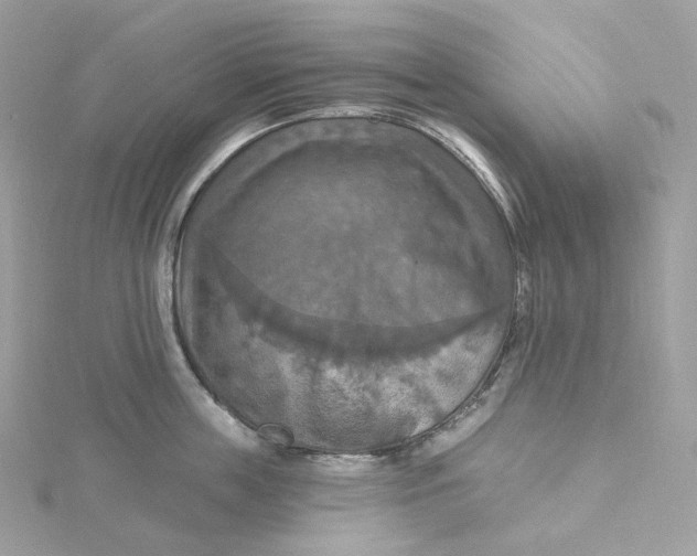 X0000115450859200911251305