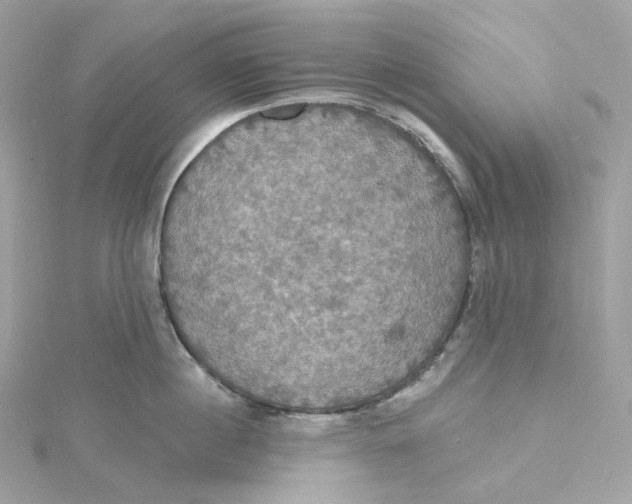 X0000115450860200911251305