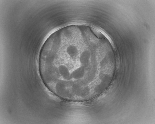 X0000115450861200911251305