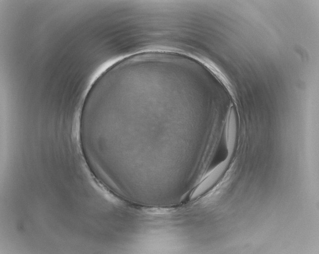 X0000115450862200911251305