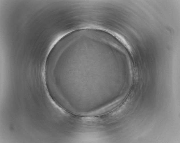 X0000115450863200911251305