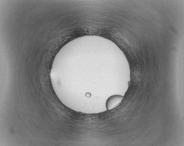 X0000115450865200911251305