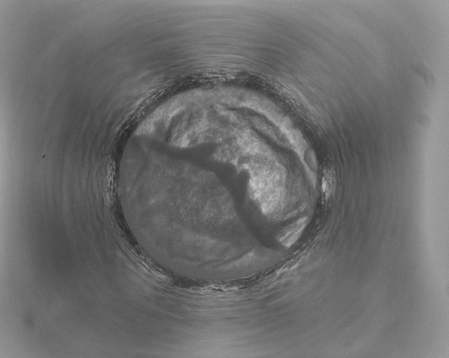 X0000115450867200911251305