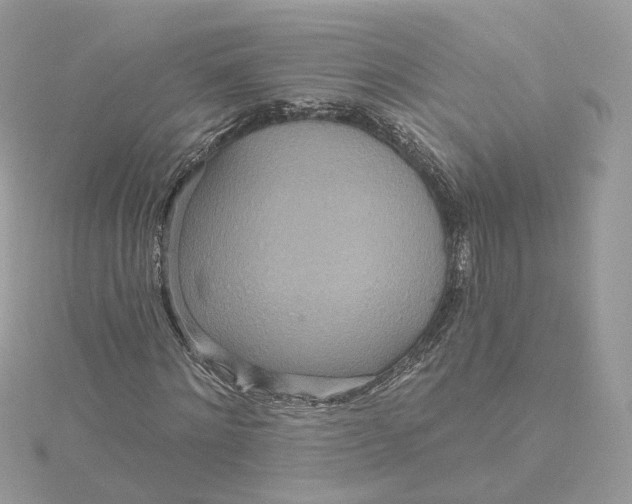 X0000115450868200911251305