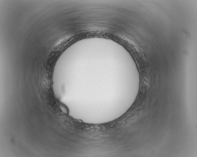 X0000115450869200911251305