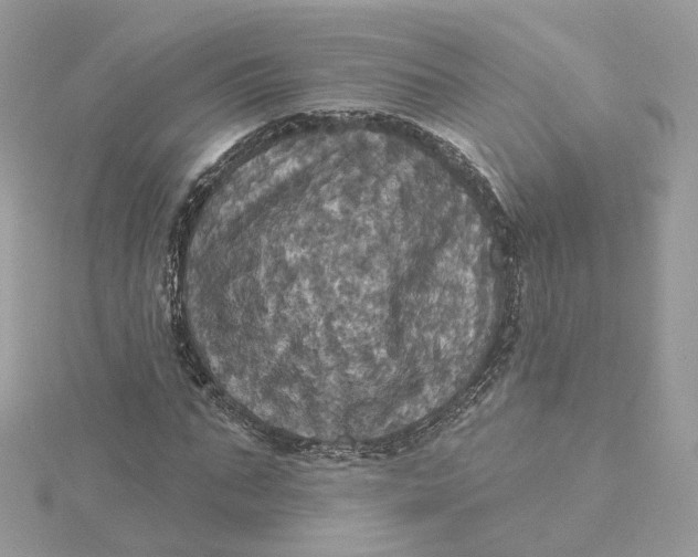 X0000115450871200911251304