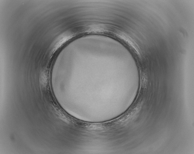 X0000115450874200911251304