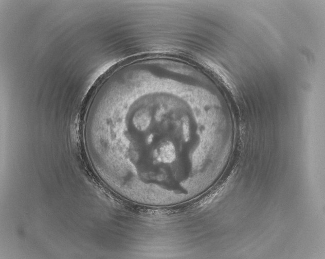 X0000115450875200911251304