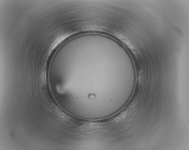 X0000115450877200911251304