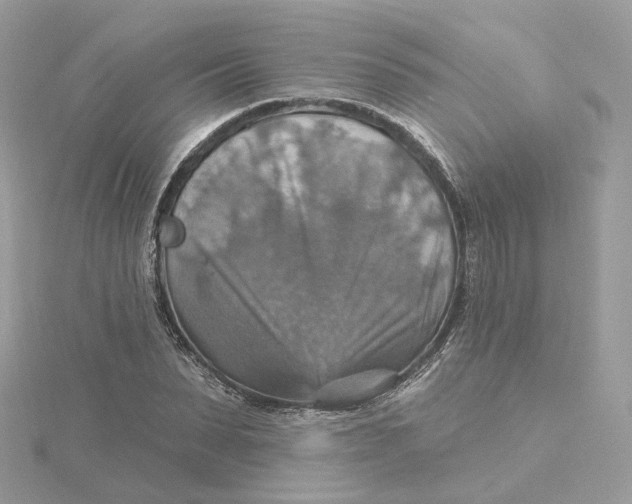 X0000115450879200911251304