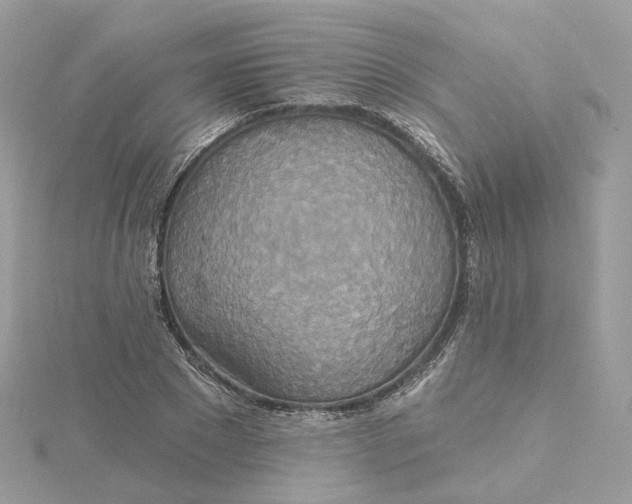 X0000115450881200911251304