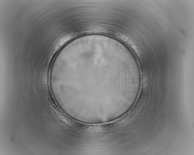 X0000115450882200911251304