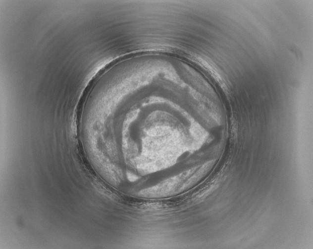 X0000115450883200911251304