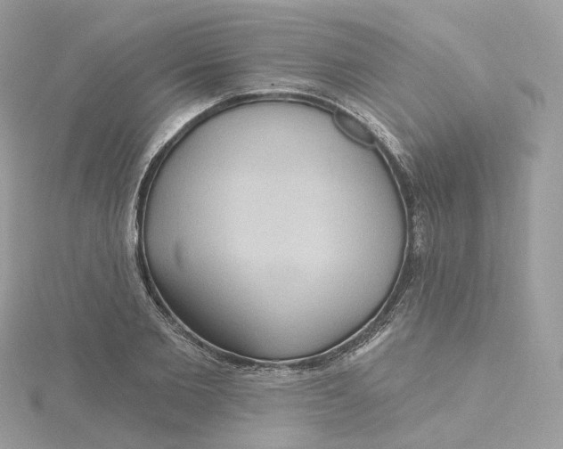 X0000115450885200911251304