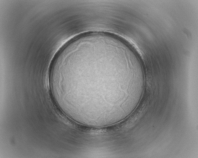 X0000115450887200911251304