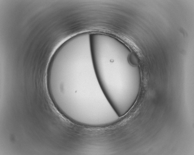 X0000115450888200911251304