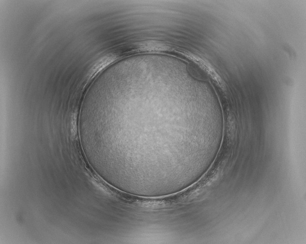 X0000115450889200911251304