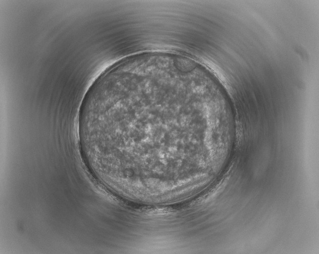 X0000115450891200911251304