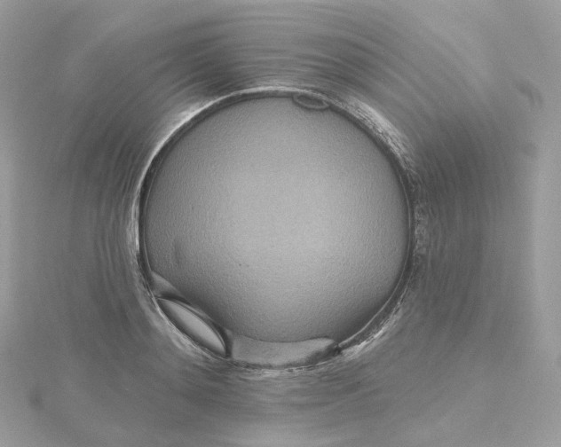 X0000115450892200911251304