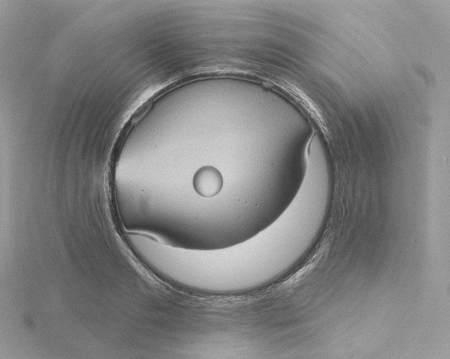 X0000115450893200911251304