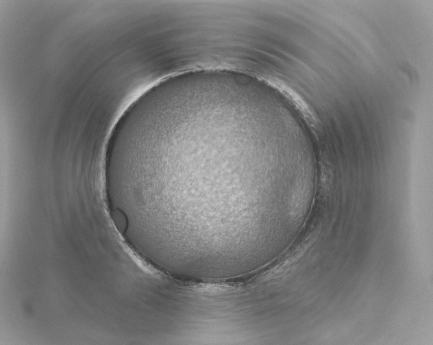 X0000115450894200911251304