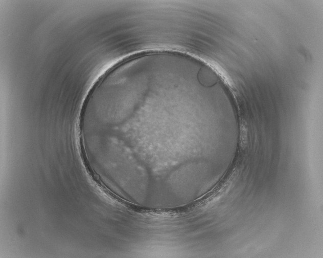 X0000115450895200911251304