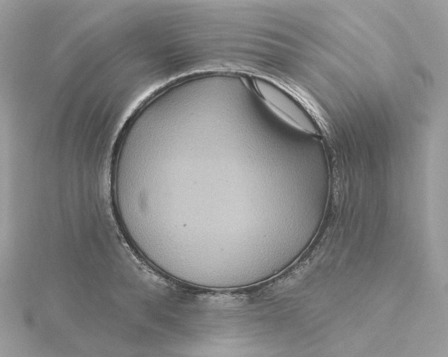 X0000115450896200911251304