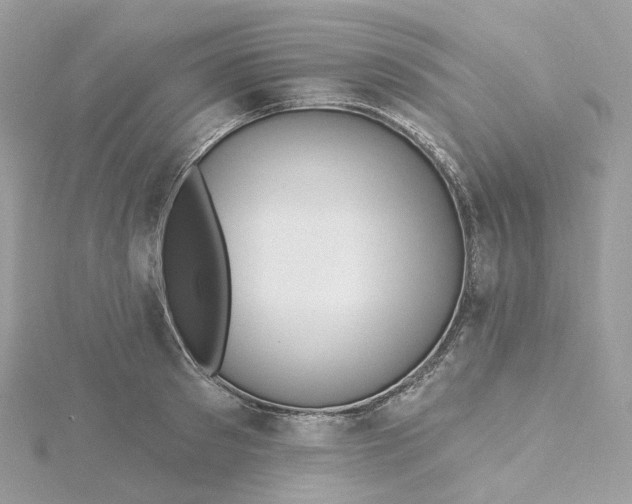 X0000115450897200911251304