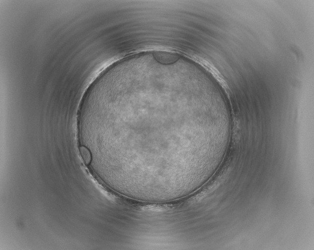 X0000115450898200911251304