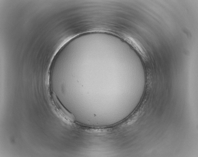 X0000115450900200911251304