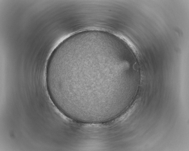 X0000115450902200911251304