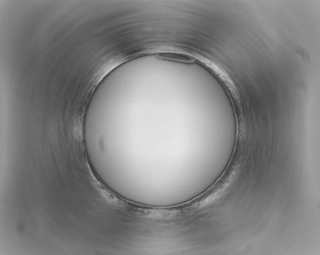 X0000115450905200911251304