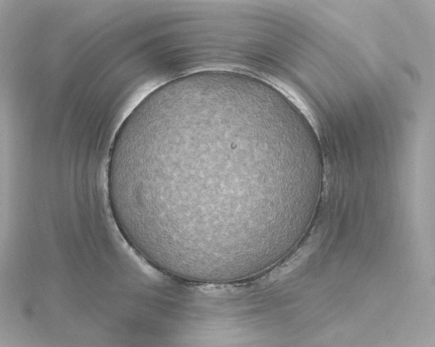 X0000115450906200911251304