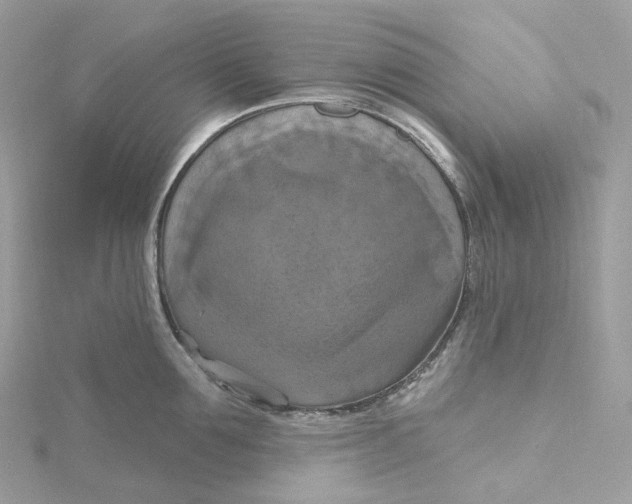 X0000115450907200911251304