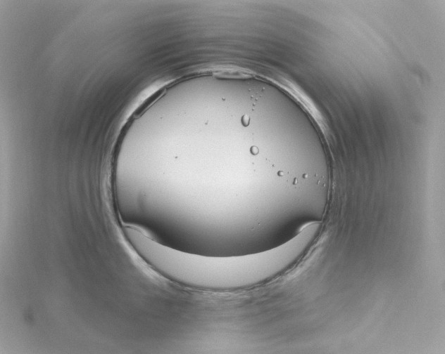 X0000115450909200911251304