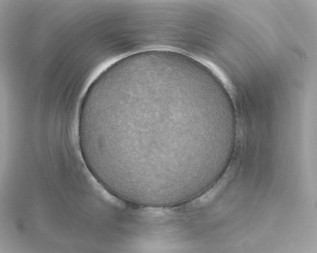 X0000115450910200911251304