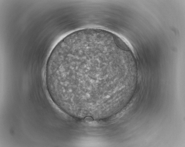 X0000115450911200911251304