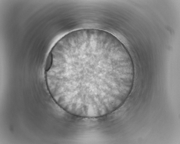 X0000115450912200911251304