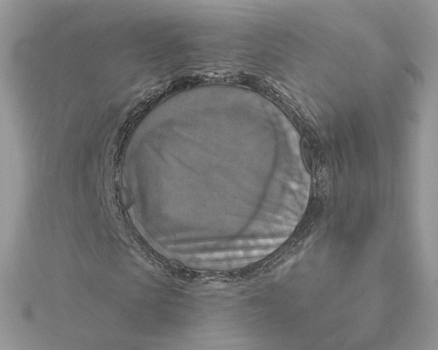 X0000115450913200911251303