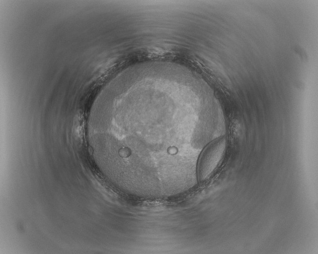 X0000115450914200911251303