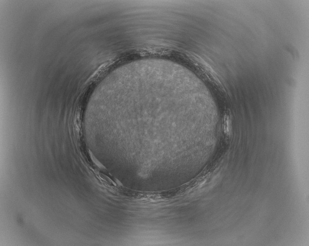 X0000115450915200911251303