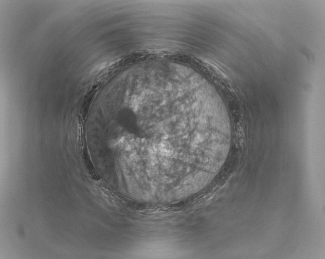 X0000115450917200911251303