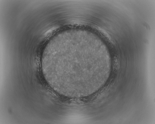 X0000115450918200911251303