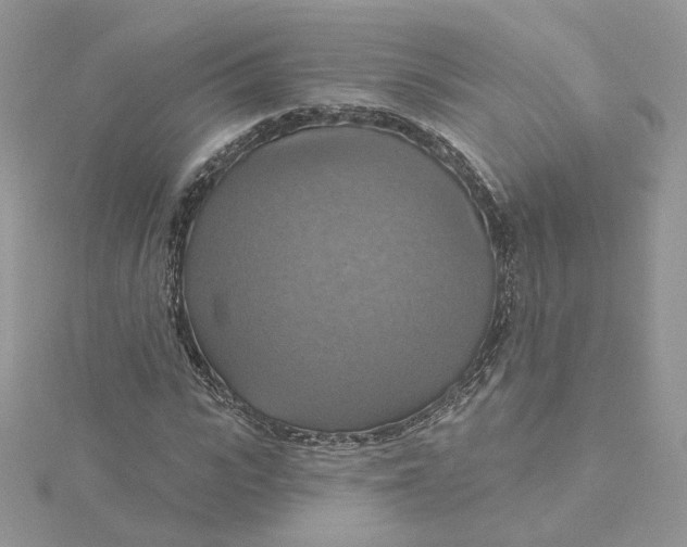 X0000115450919200911251303