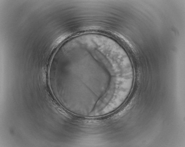 X0000115450921200911251303