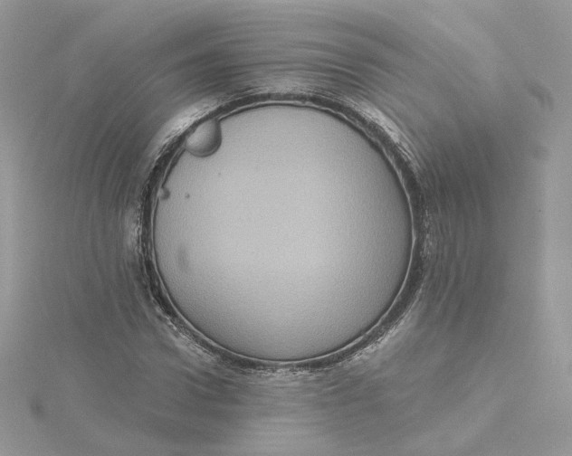 X0000115450922200911251303