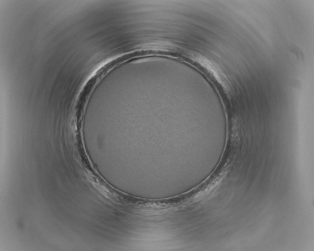 X0000115450923200911251303