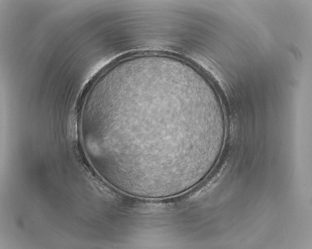 X0000115450925200911251304