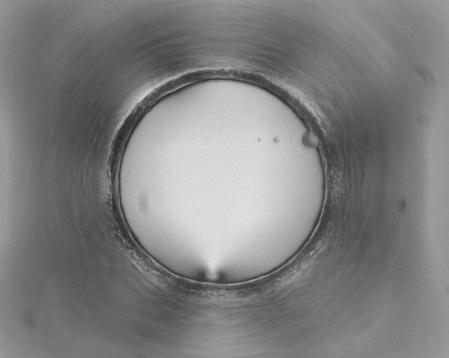 X0000115450927200911251304