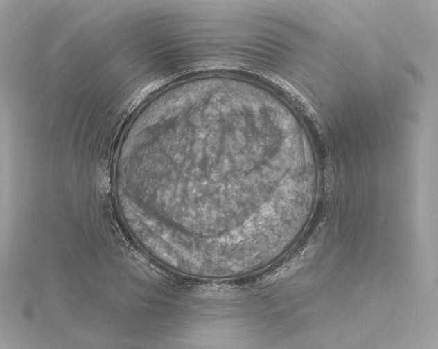 X0000115450929200911251304